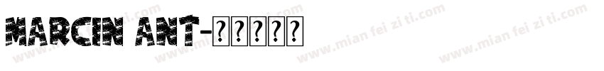 Marcin Ant字体转换